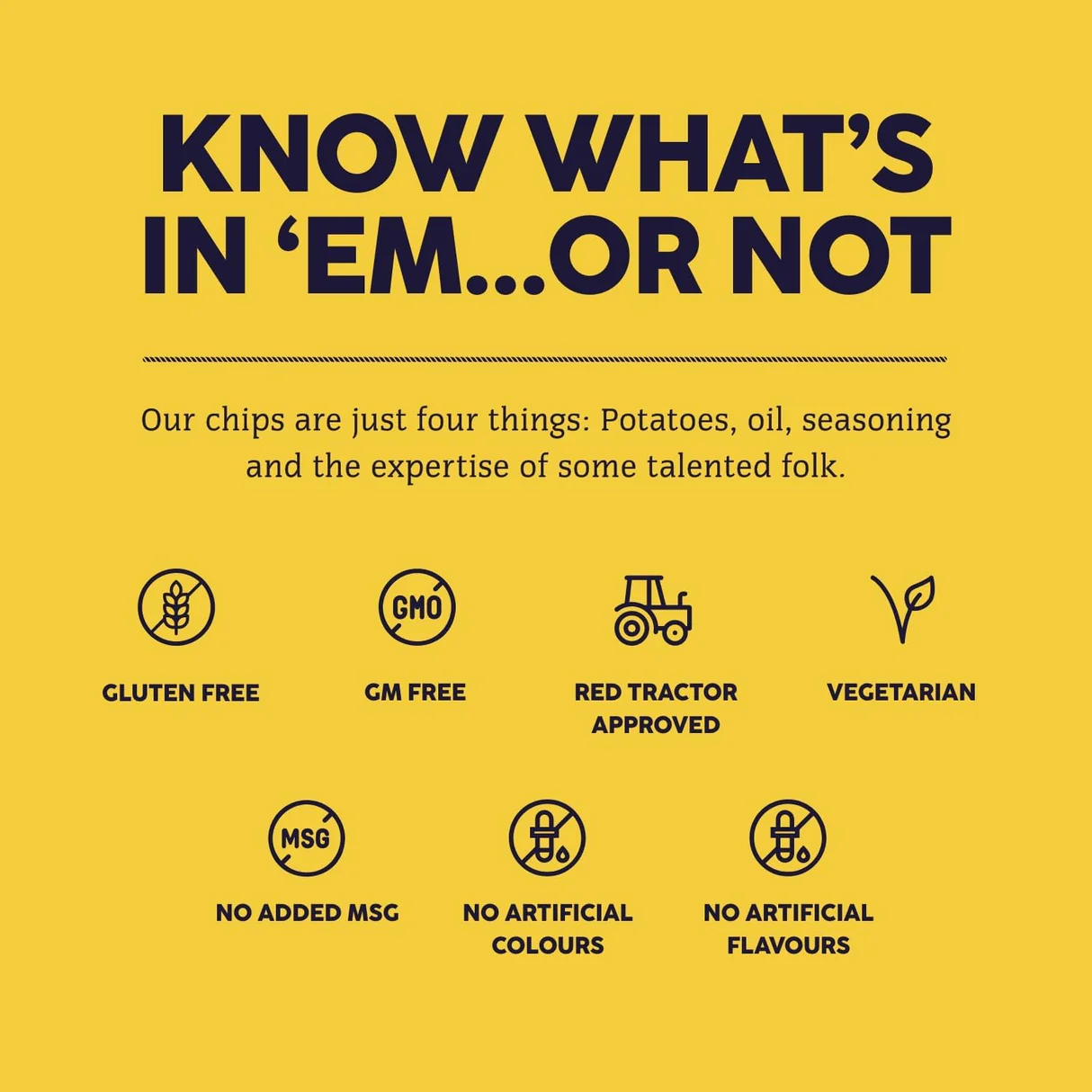 Burts Mature Cheddar And Spring Onion Crisps - 40g (Box of 20) - Image 4